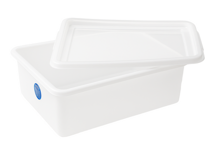 Container