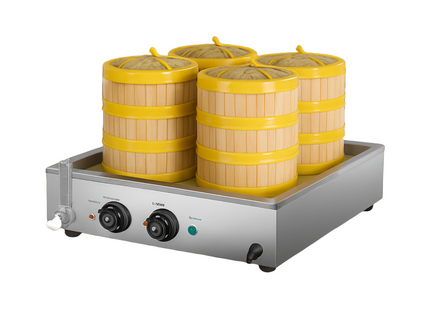 Electric Steamer