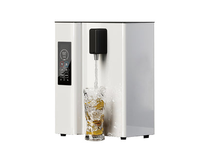 Commercial Water Boiler