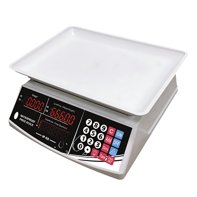 Scale