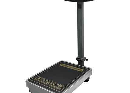 Floor Standing Scale